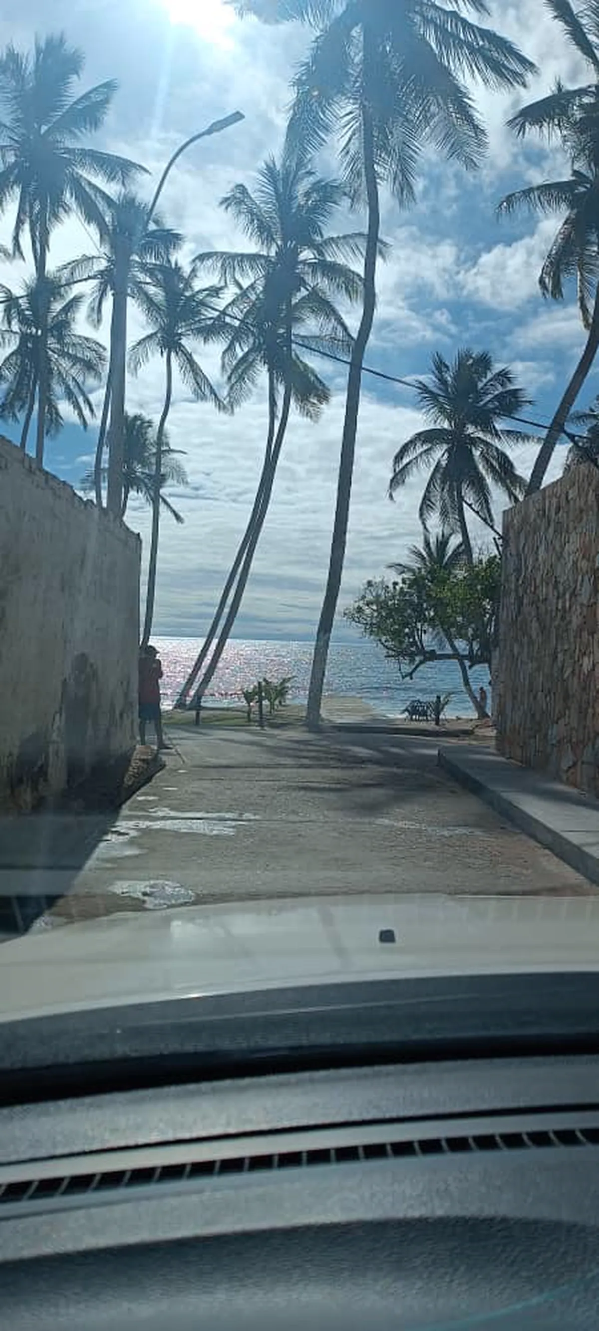 Palmeras altas con barca